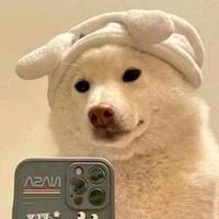 温暖严冬