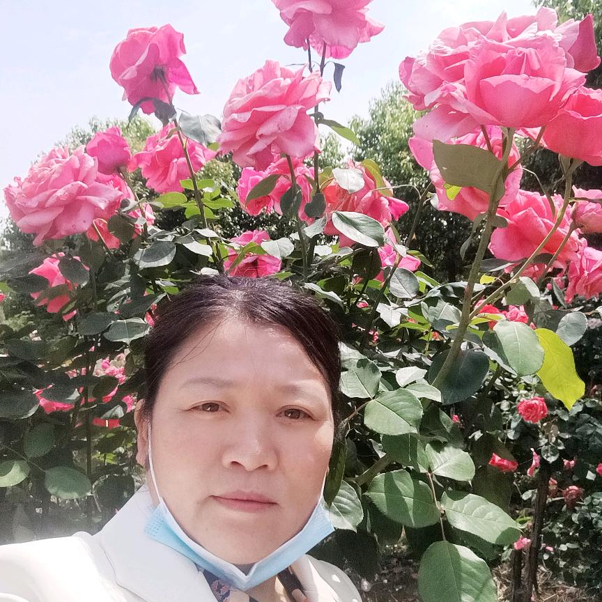 婷婷妈