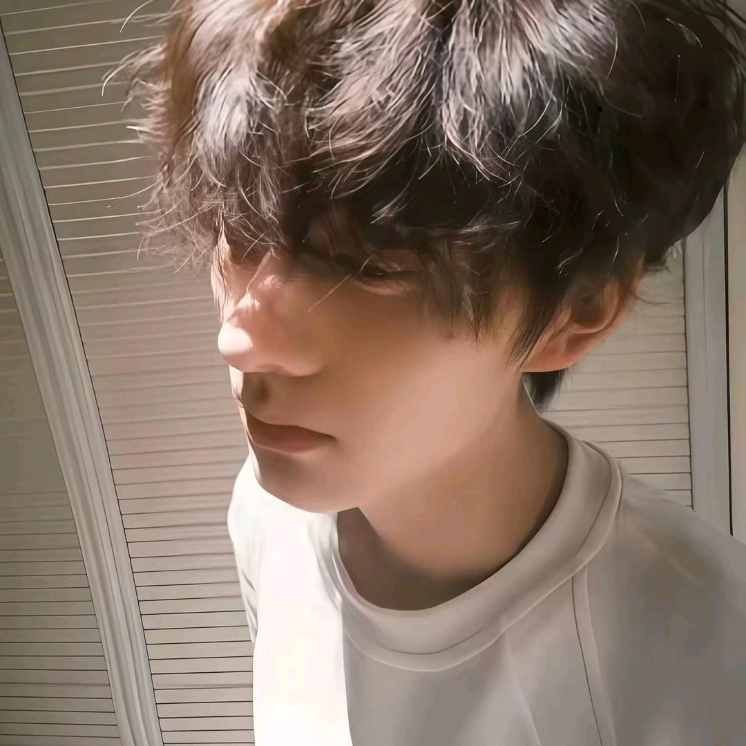 林间雾