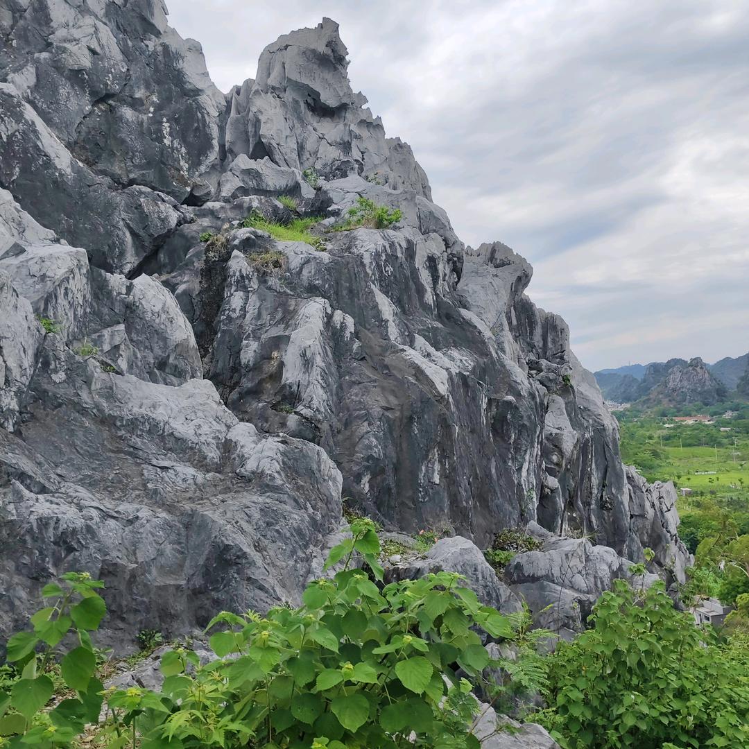 小权权捶你