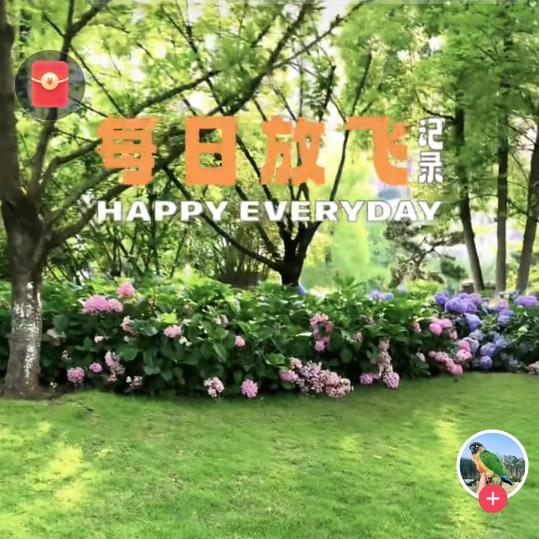 平安是福