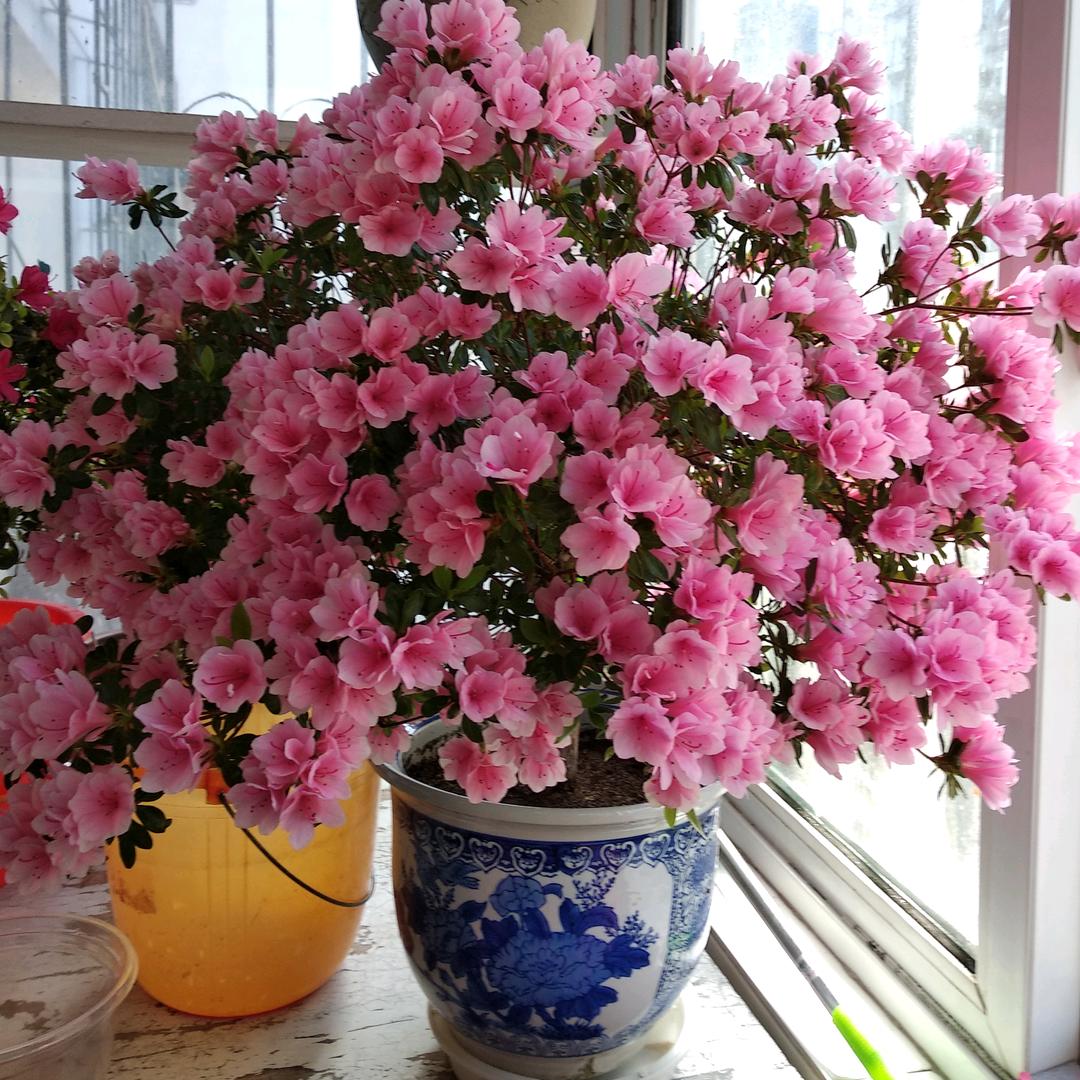 溪河燕小