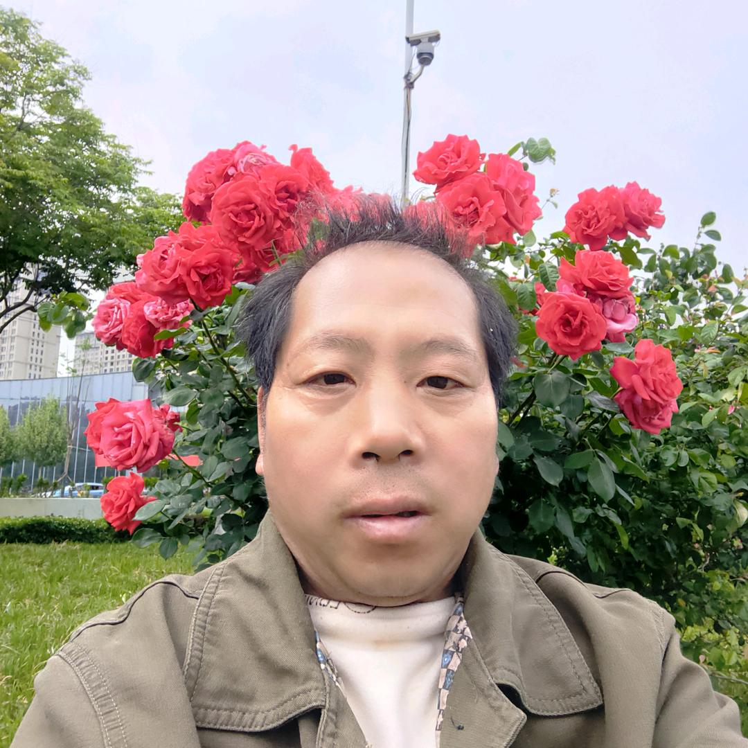 王乐