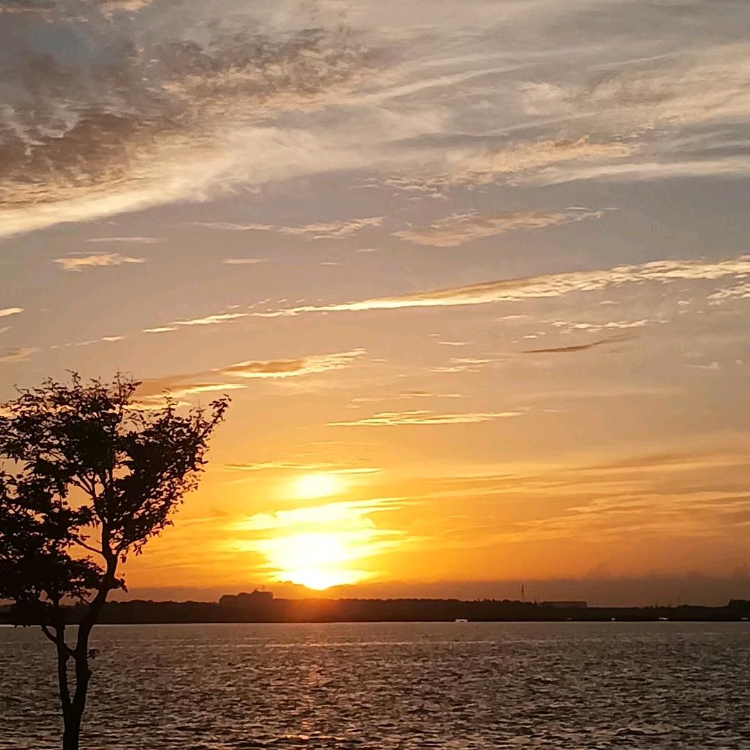 趙先生· 𝑨𝒖𝑫𝒊