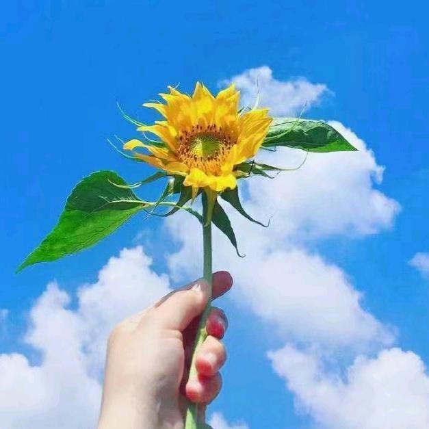 ☾⋆᭄⁵̶²̶º̶💞₁̶₃̶₁̶₄😘