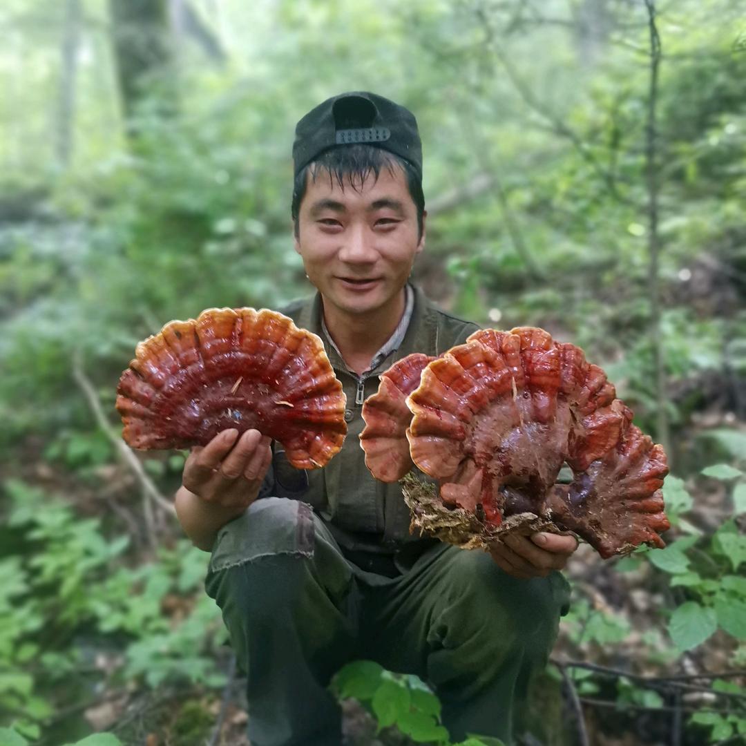 林区小霍