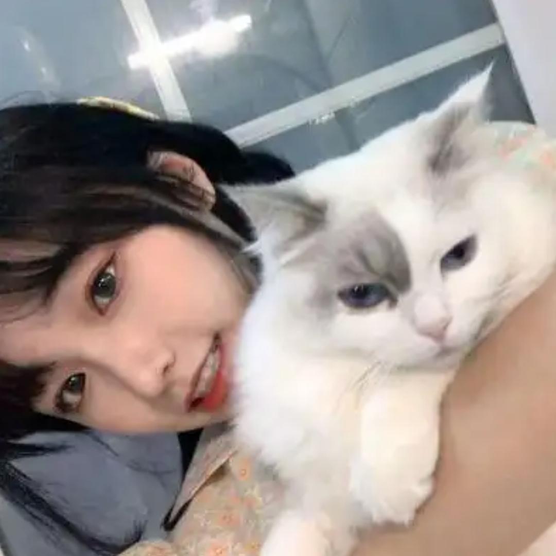 发财的小白猫🍒