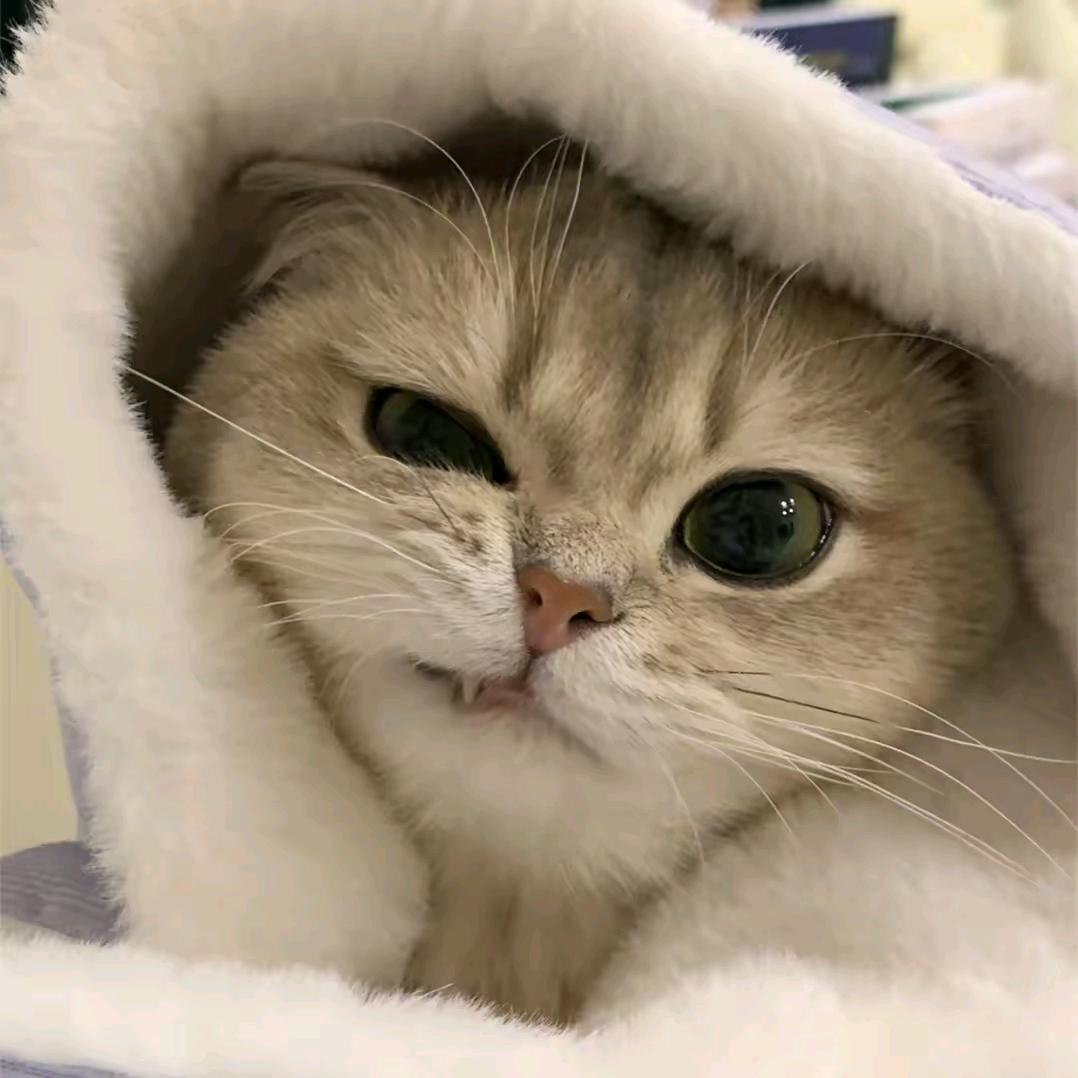 物理好难