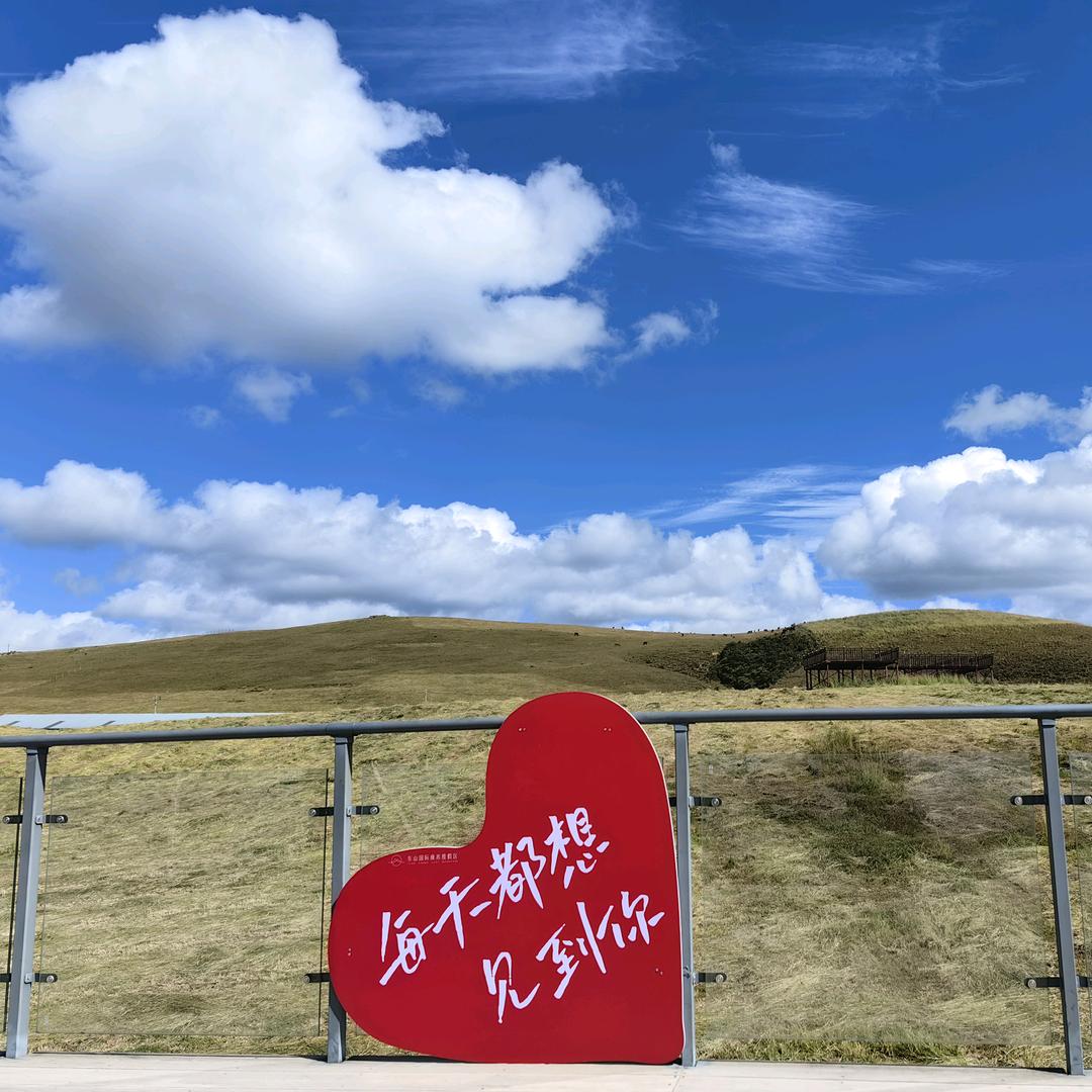 🌈🍀婷宝✨