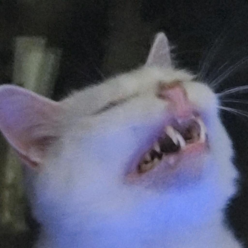 飞舞狮子