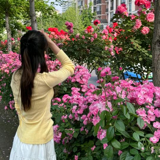 白茶清欢