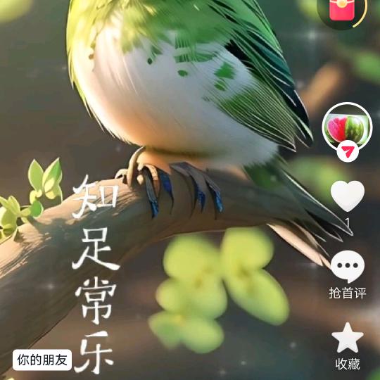 大头儿媳
