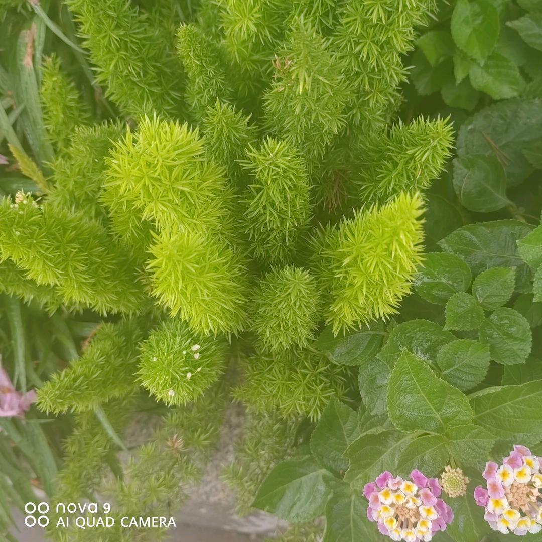 用户294126165877
