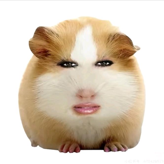 ？！