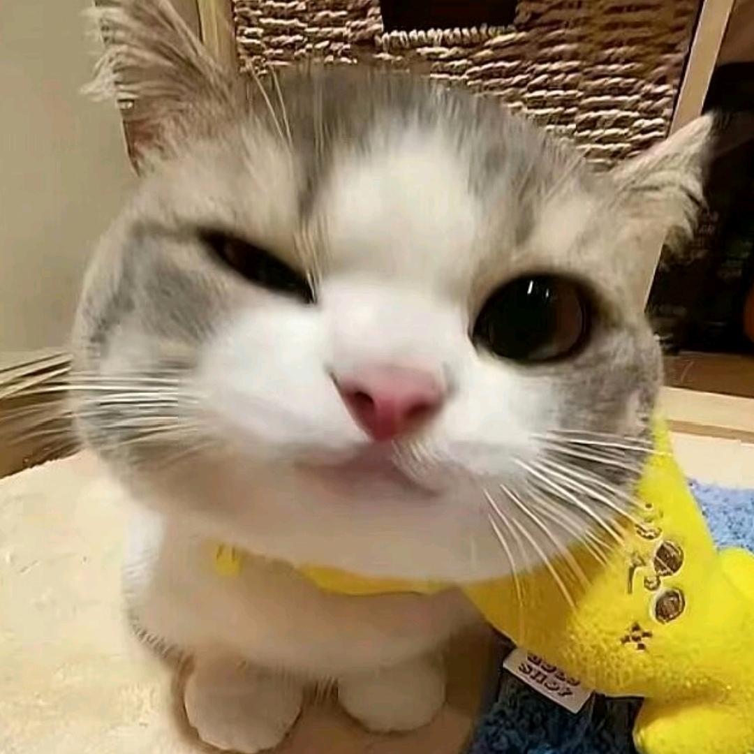 梦寂