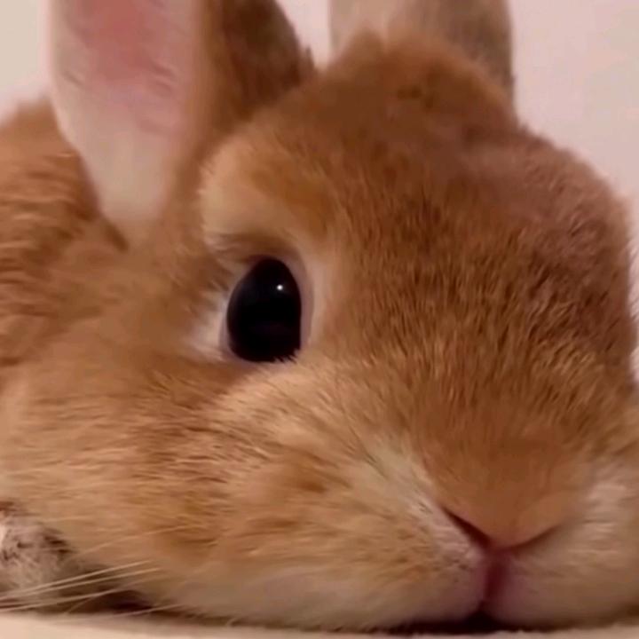 嘻嘻看影(*∩_∩*)