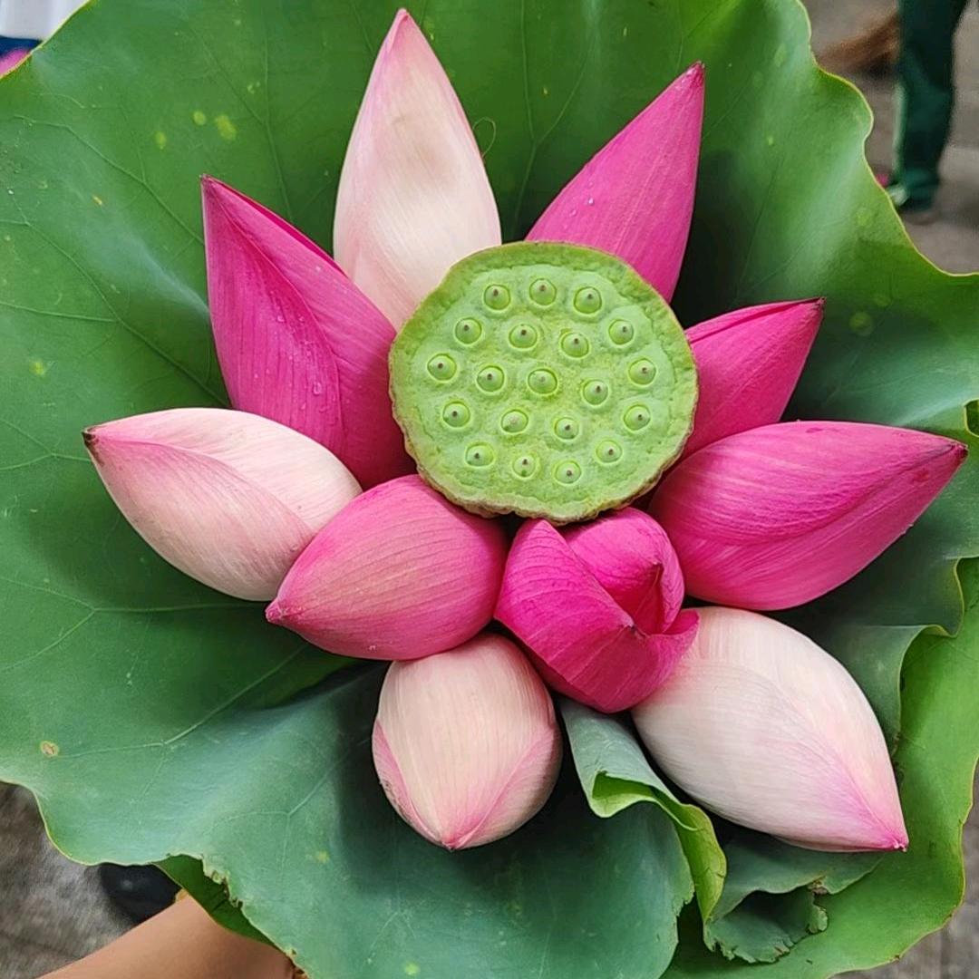 东山好吃再来农产品