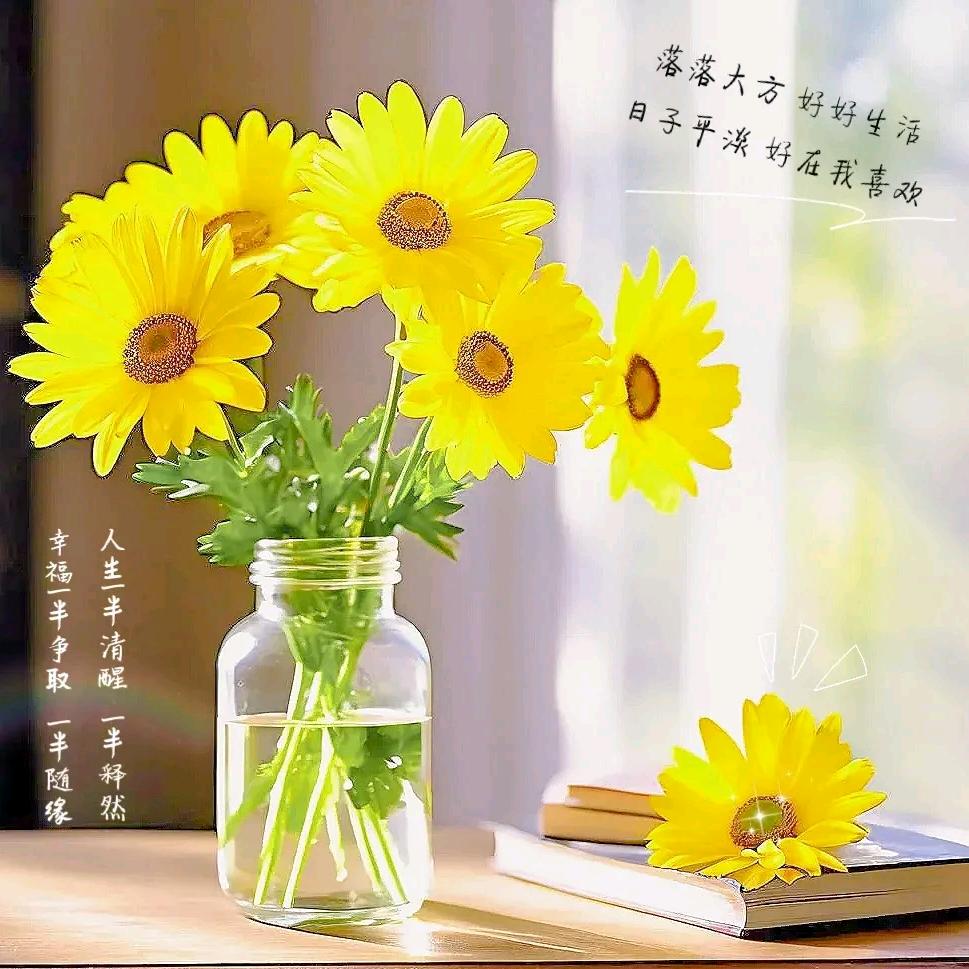 安逸的生活方式