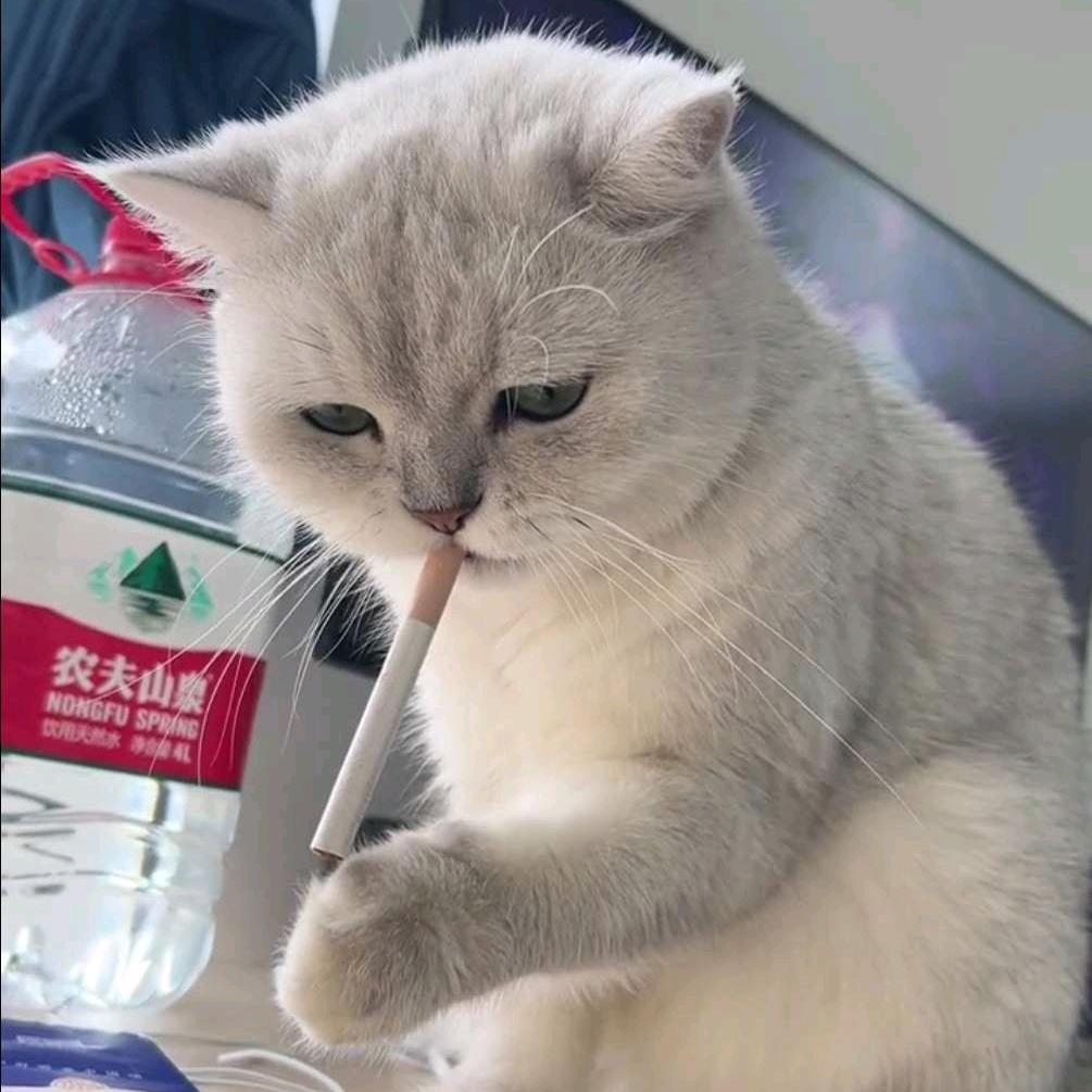 冣 乂