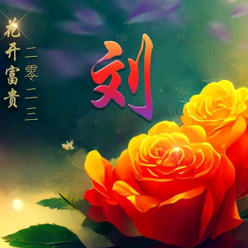 火龙鸟