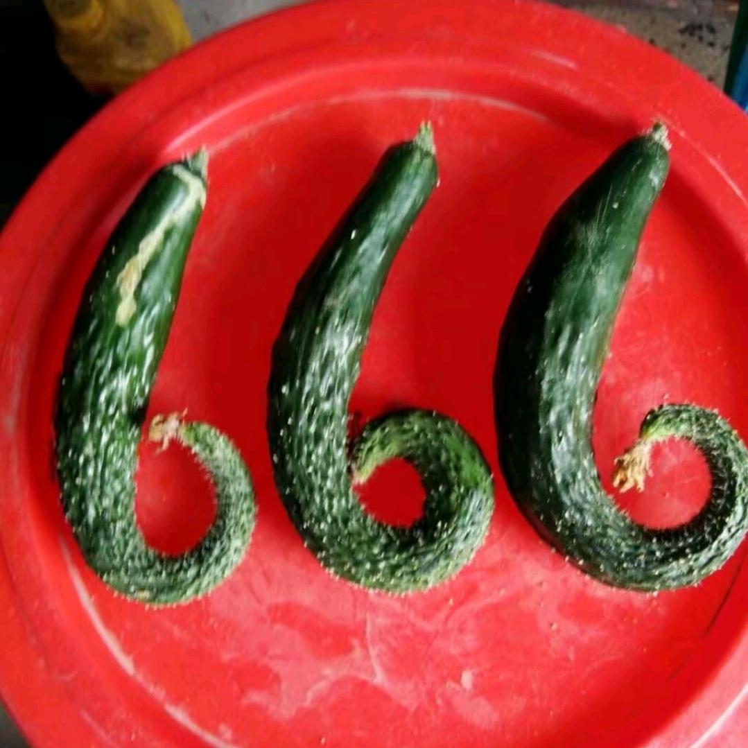 凡事学会靠自己