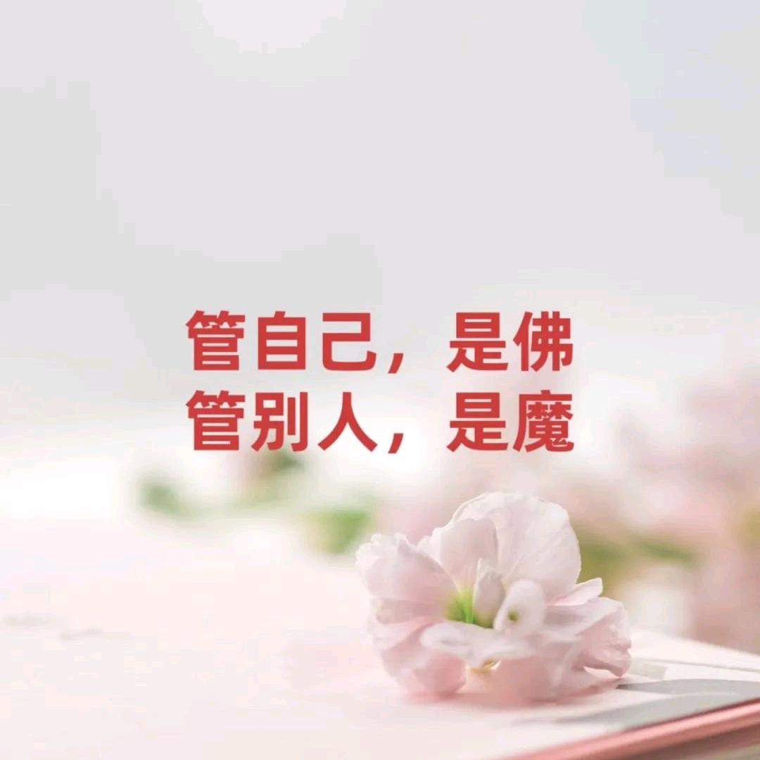 风过不回眸