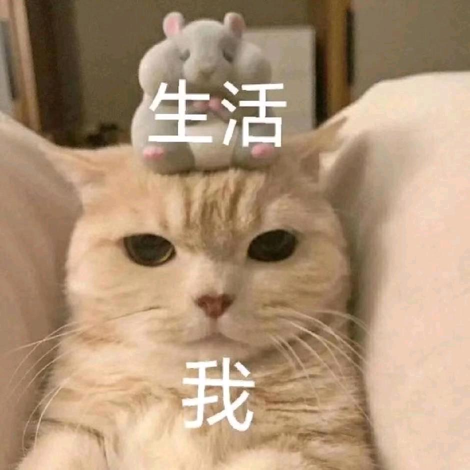 就叫小桂子吧