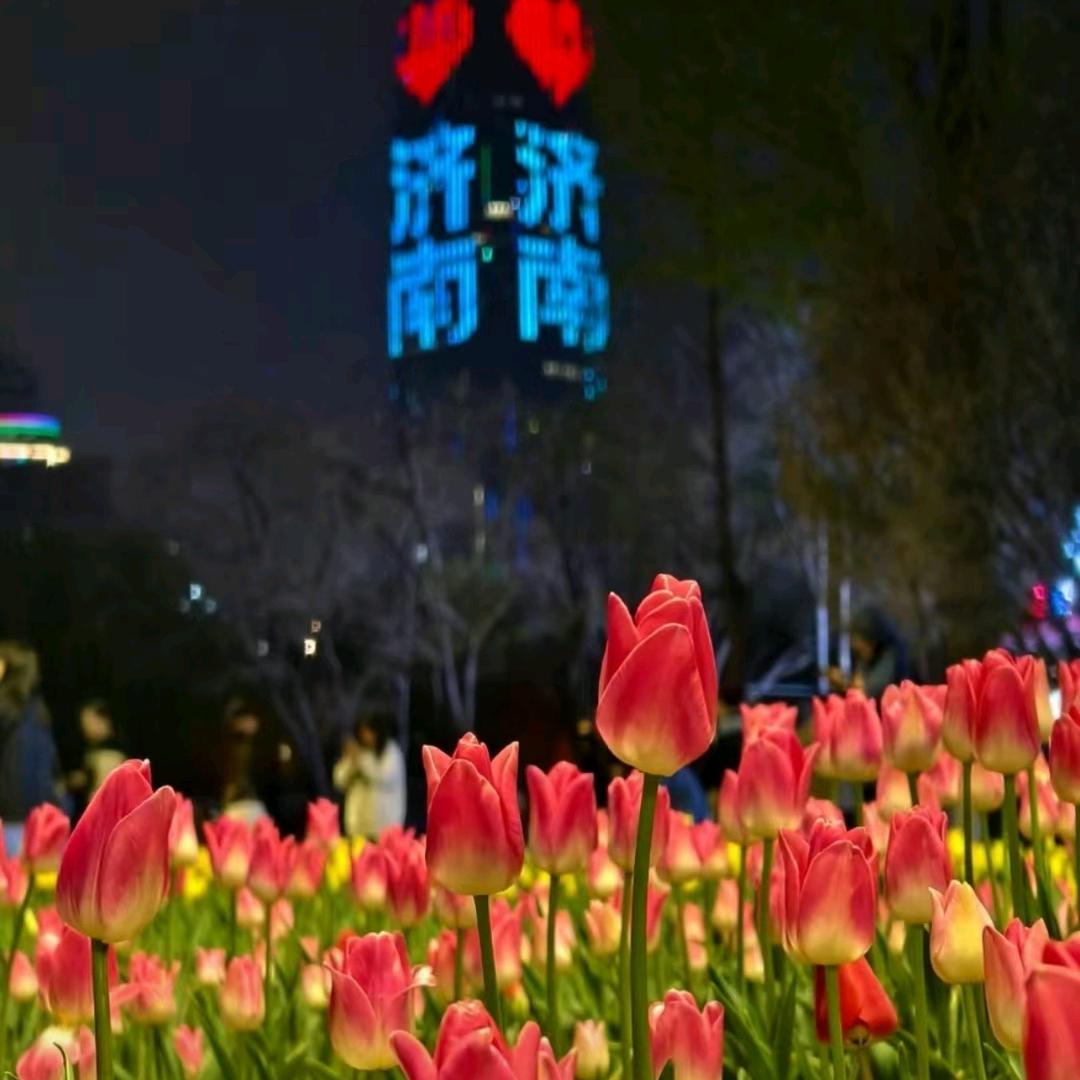 🌟转运星辰🌟