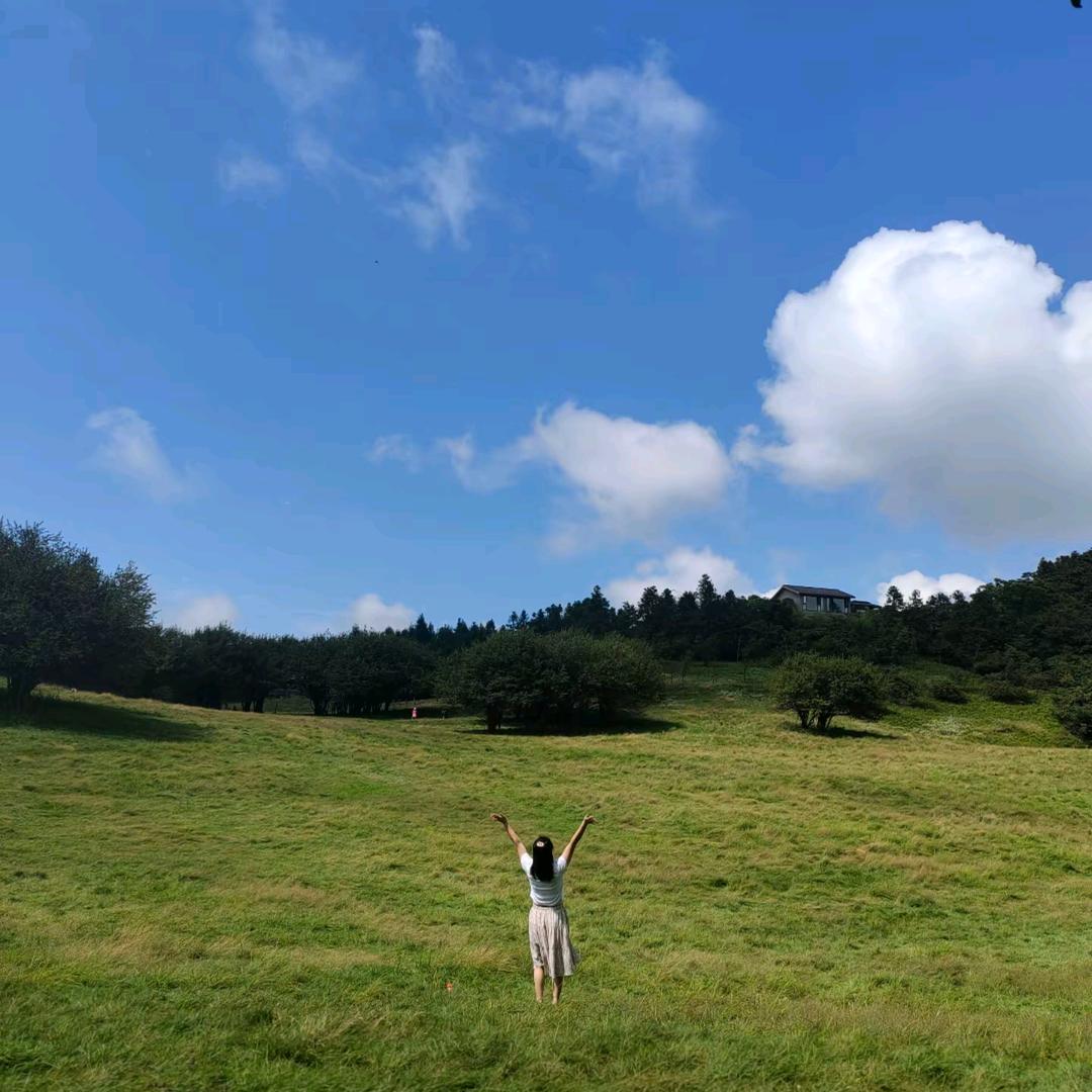 甘姐🍋+🌿+🍒