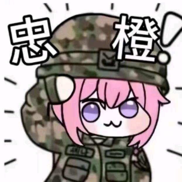 一只小草莓✨