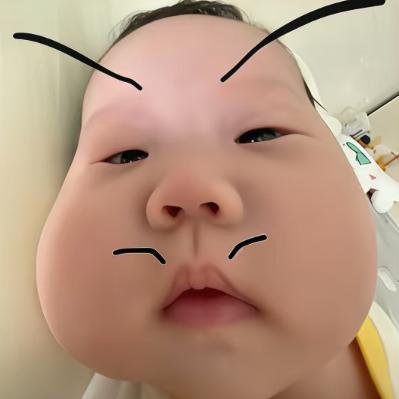 祺吻猫岛、