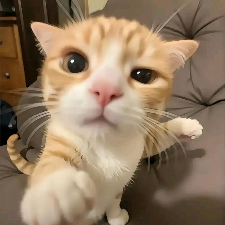 綰