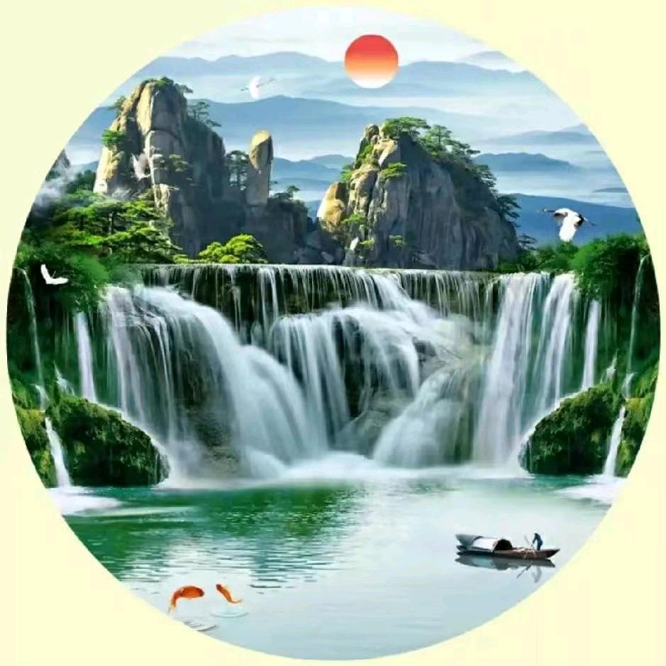 正洋药草1