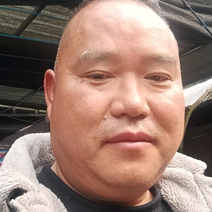 飞龙腾达