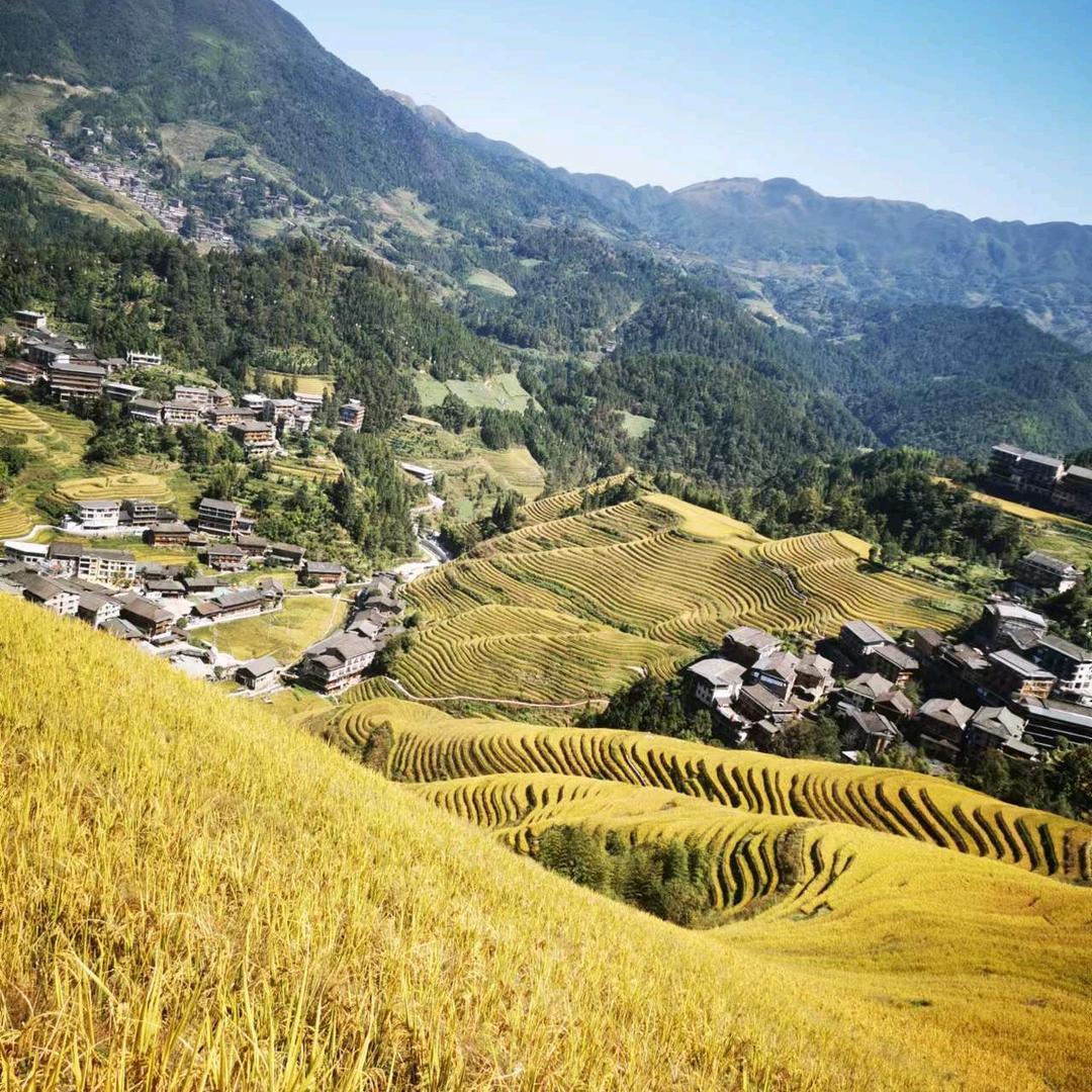 龙脊梯田•云林山居酒店