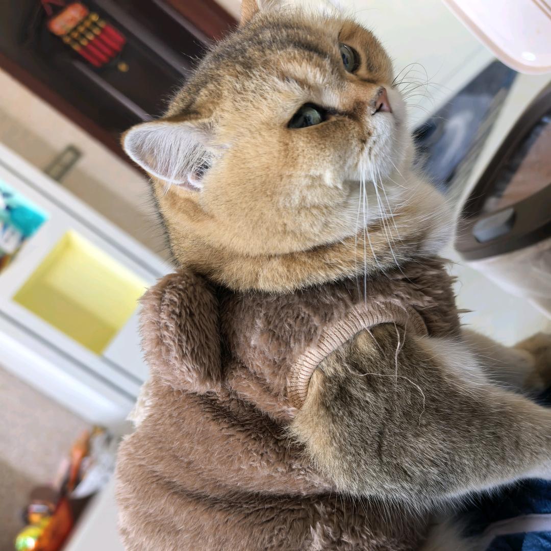 ᰔᩚ Anna诺এ᭄゛