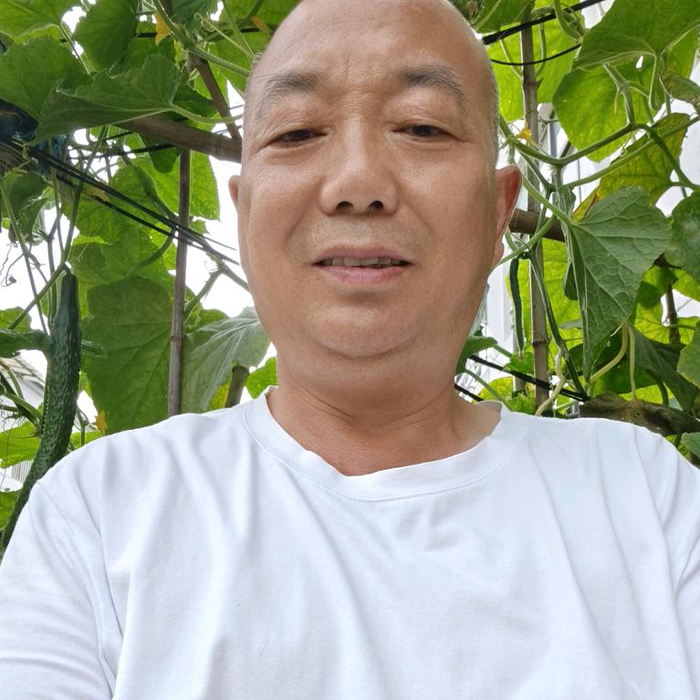 风雨无阻