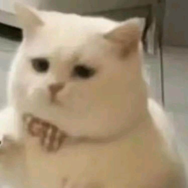 请叫我标哥