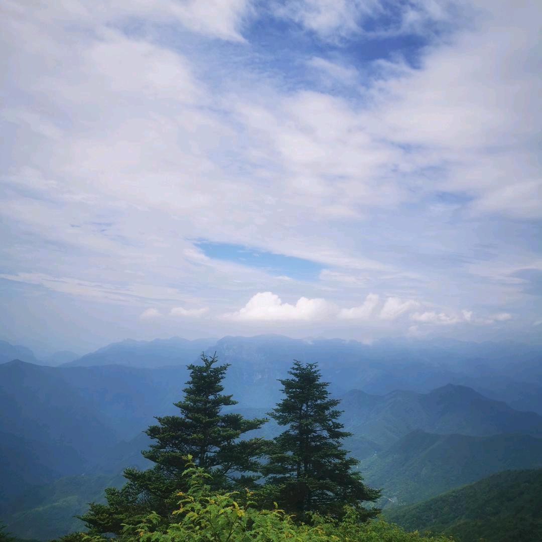 那就这样吧。