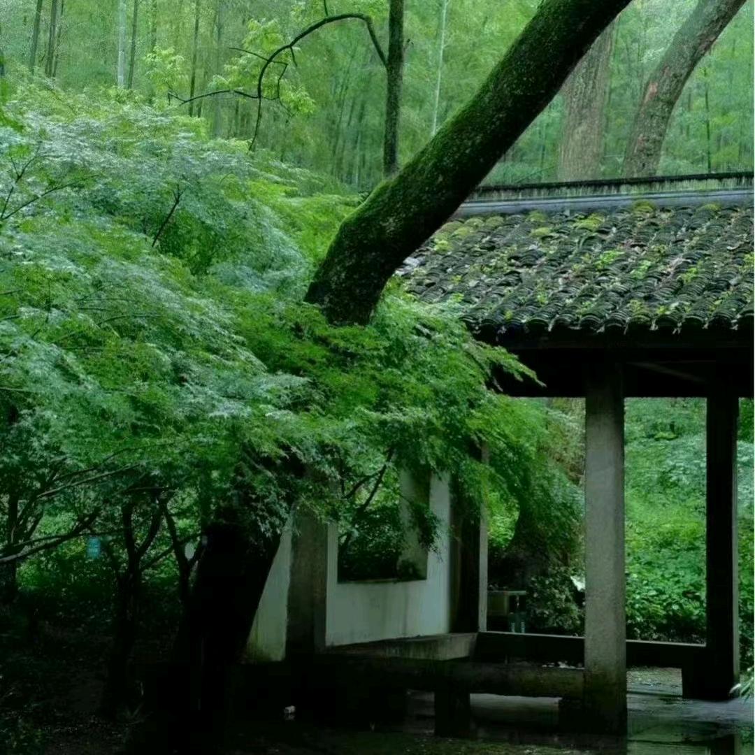 王集新合作购物广场（老符）