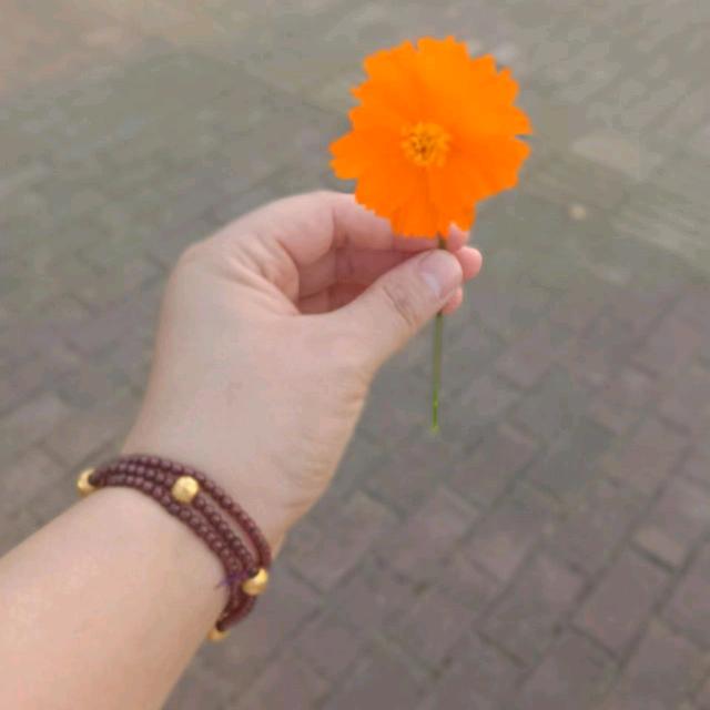 小尧同学
