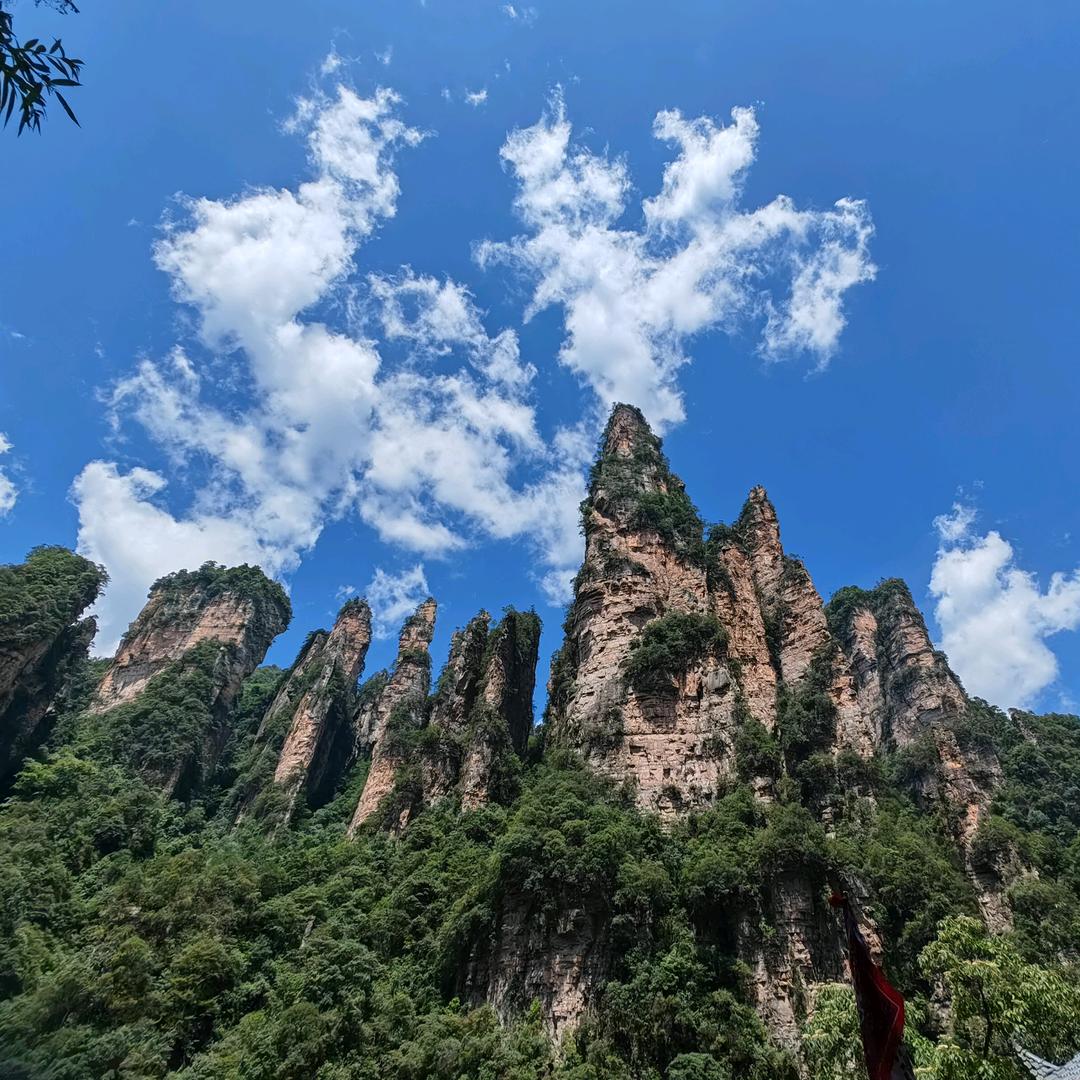 腾龙阁