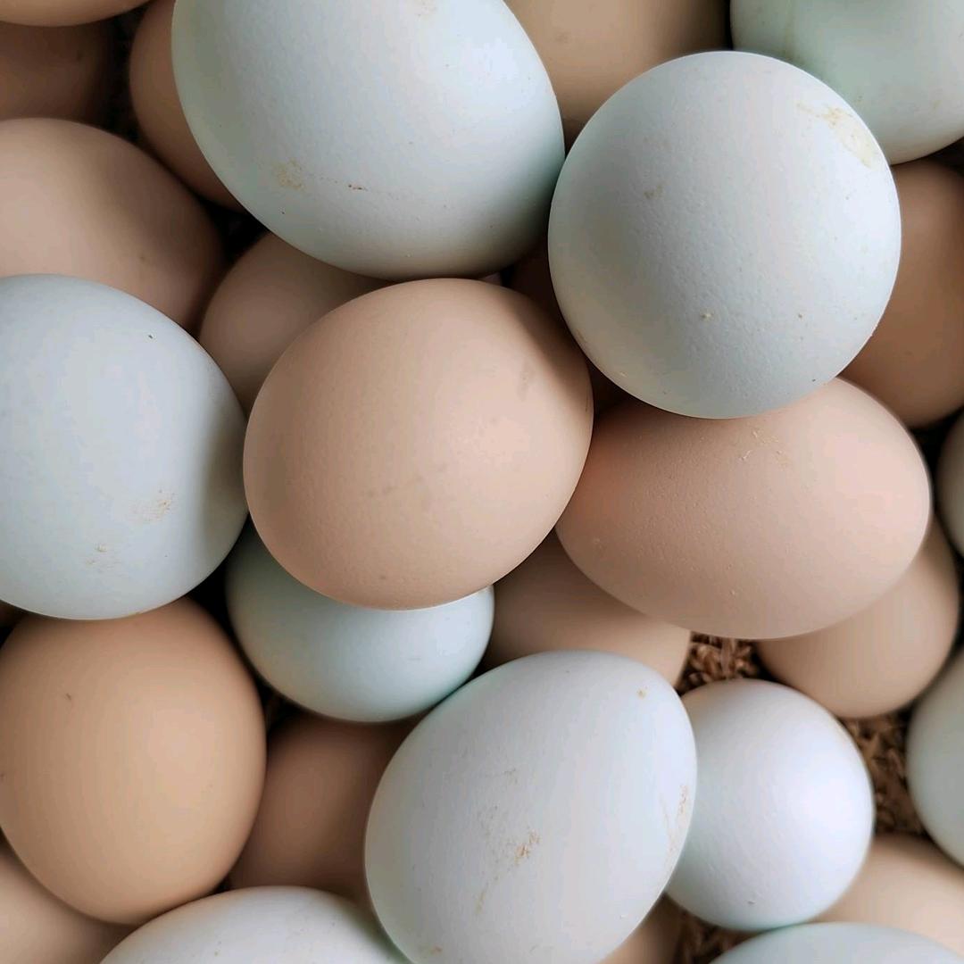 多优鲜鸡蛋店