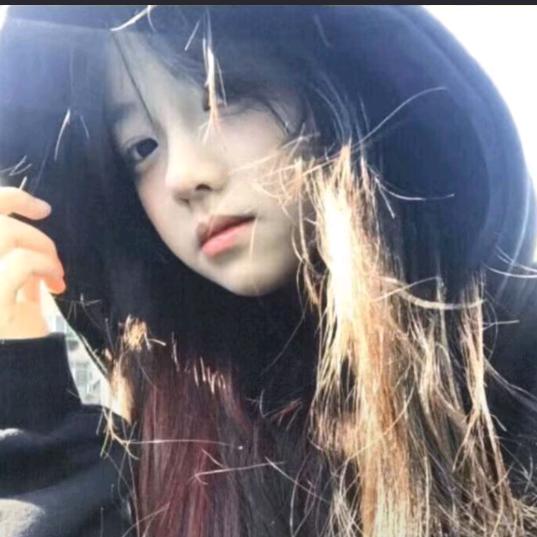 消失的大 白头像