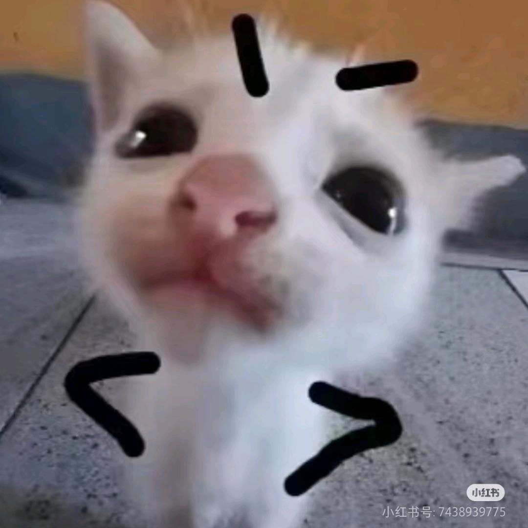 柿子³