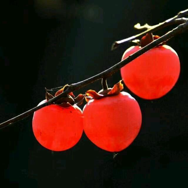 阳光-
