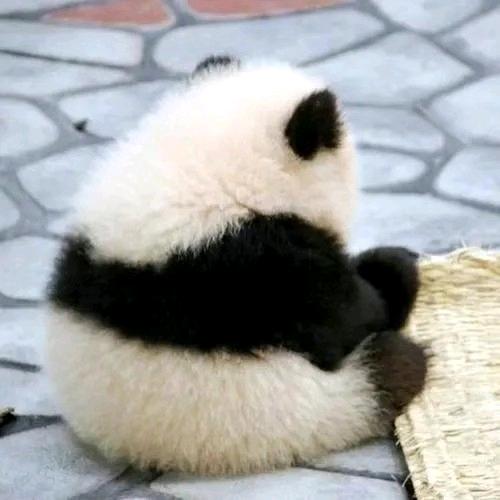 小曦毛线铺子