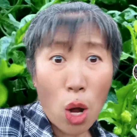 莉莉莉
