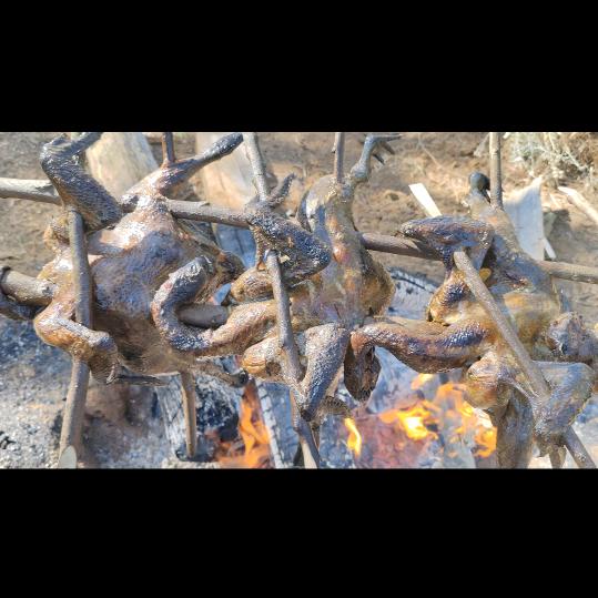 临沧小酒桌烤鸡张雄