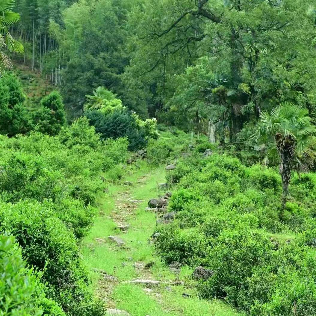 有没有人告诉你